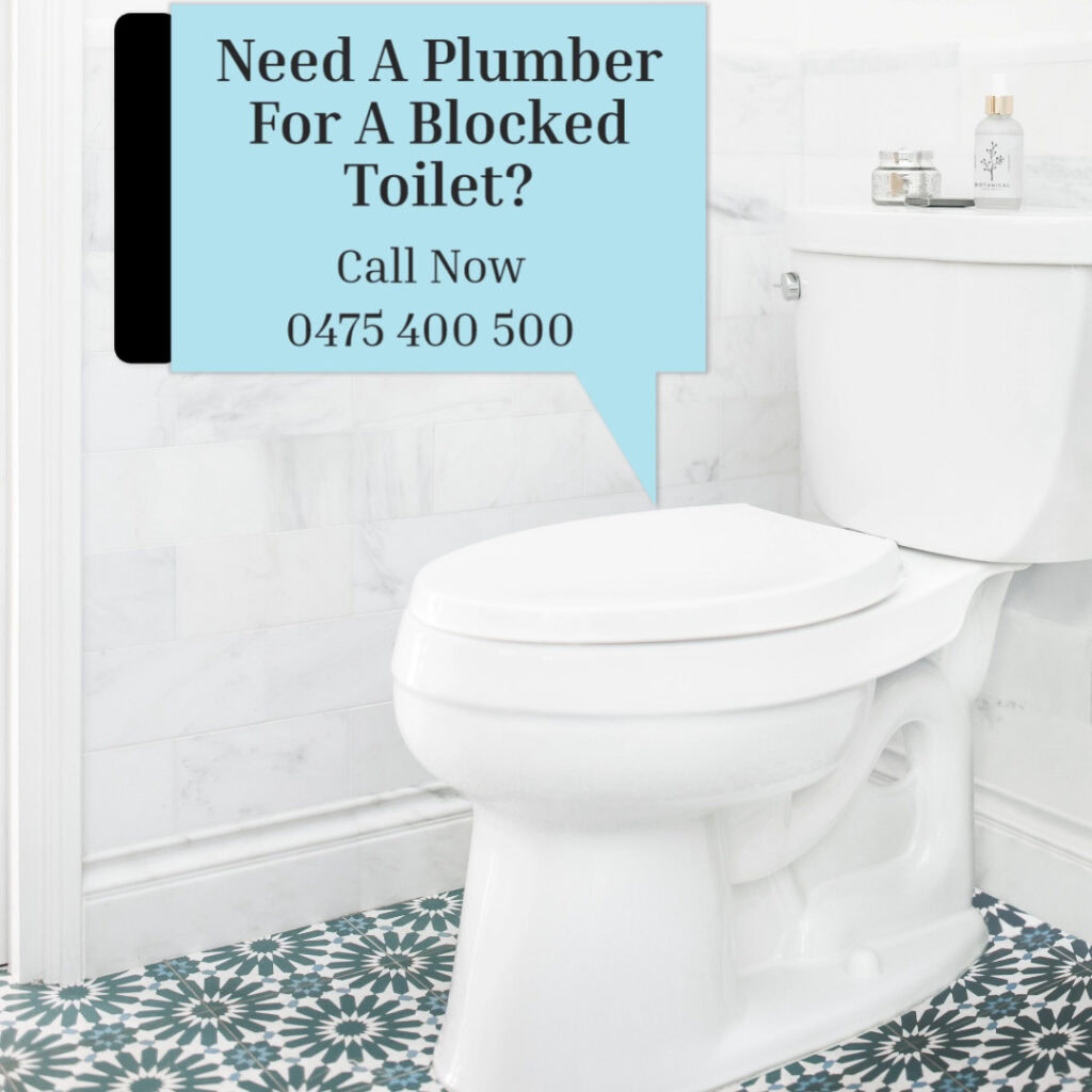 Need A Plumber Now For A Blocked Toilet